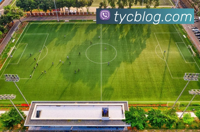 太阳城网站服务体系