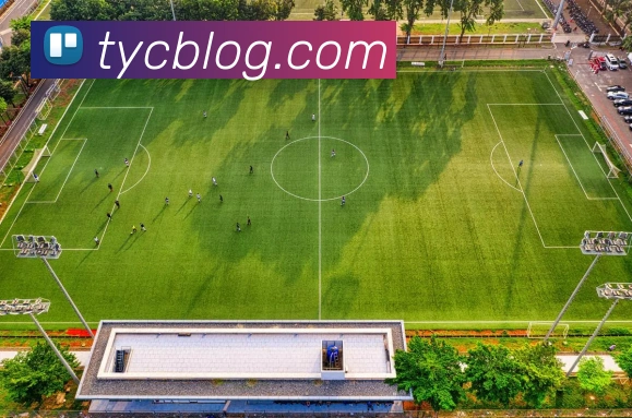 多媒体互动体验